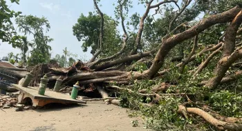 লালমনিরহাটে ঝড়ে ভেঙে পড়লো ২শত বছরের ঐতিহ্যবাহী হালাবট গাছটি