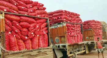 পেঁয়াজ রফতানিতে শুল্ক প্রত্যাহার করেছে ভারত, কমবে দাম