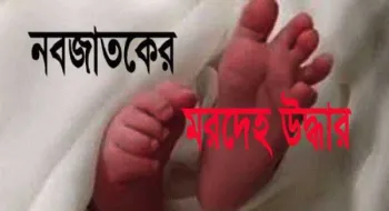 সৈয়দপুরে কুকুরের আনাগোনায় ঝোপঝাড়ে মিললো নবজাতকের লাশ