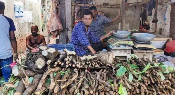 চুইঝালের কদর বাড়ছে চাহিদা