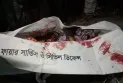 নীলফামারীতে সড়ক দূর্ঘটনায় প্রাণ গেল যুবকের